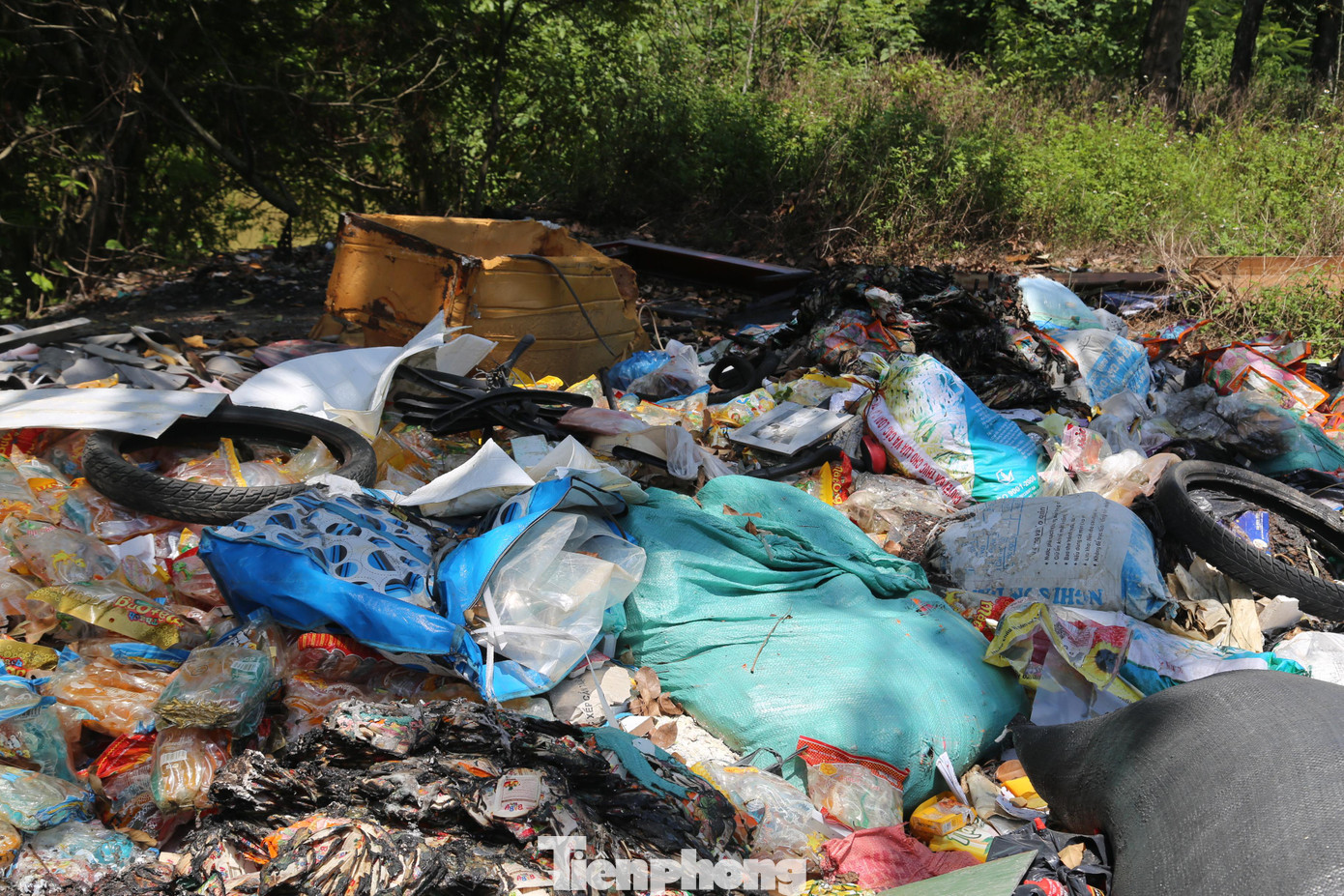 Hàng ngày, rác thải đều được người dân đổ thẳng ra tuyến đường ven sông Vinh