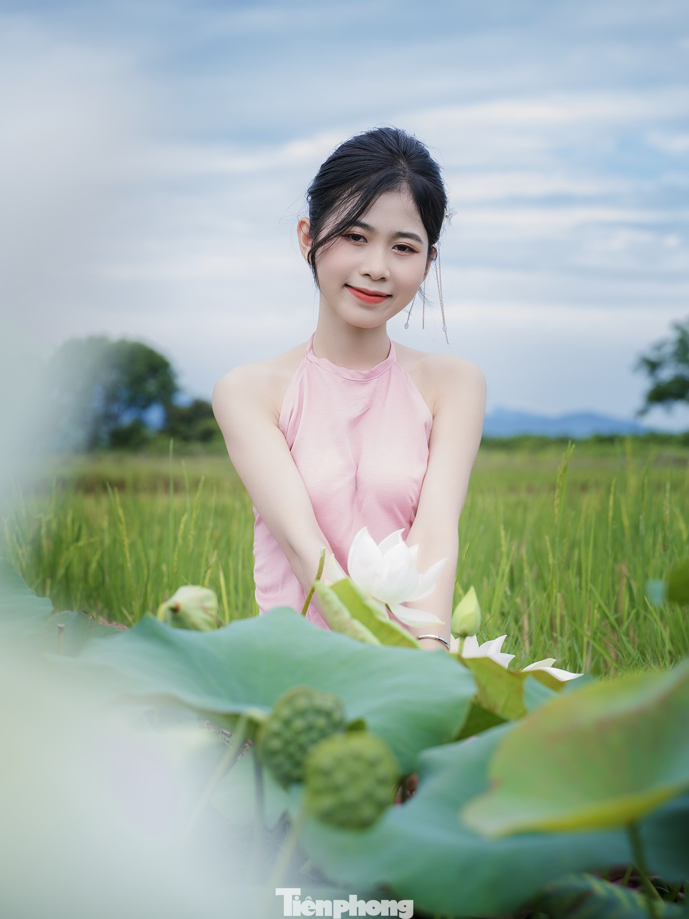 Sen ở đây chủ yếu trồng để bán nên du khách không mất phí vào tham quan, chụp ảnh.