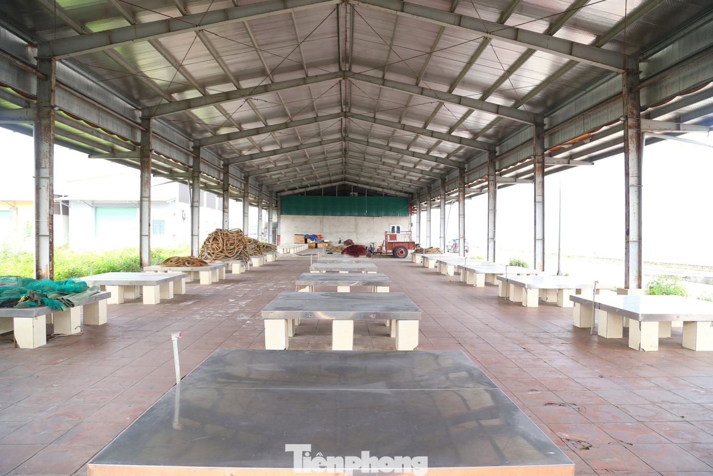 Khu nhà để phân loại cá rộng hàng trăm mét vuông bỏ hoang.