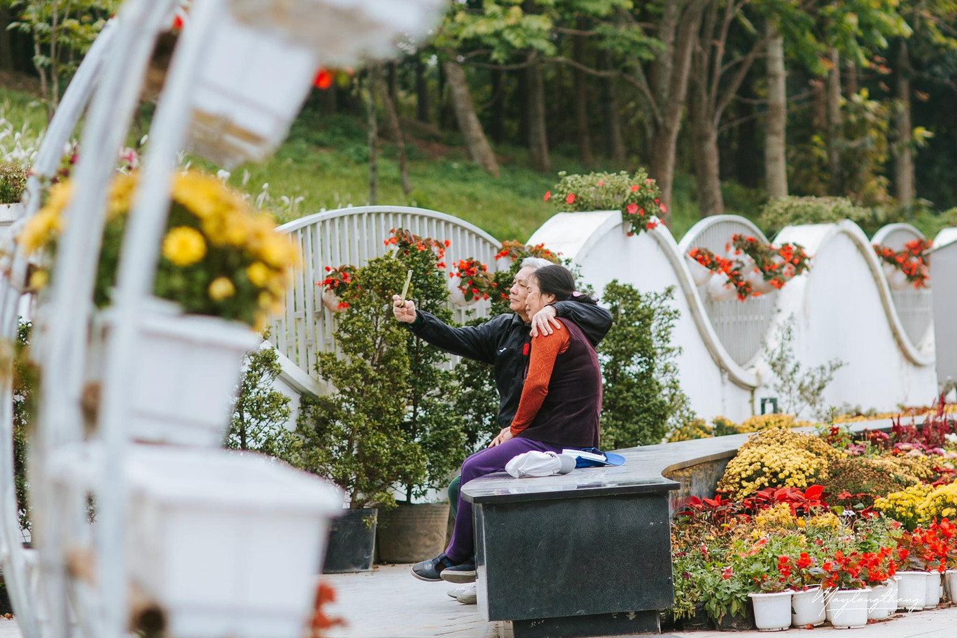 Khoảnh khắc ông bà tay trong tay "selfie" khiến nhiều người tan chảy. Khoảnh khắc ông bà tay trong tay "selfie" khiến nhiều người tan chảy.