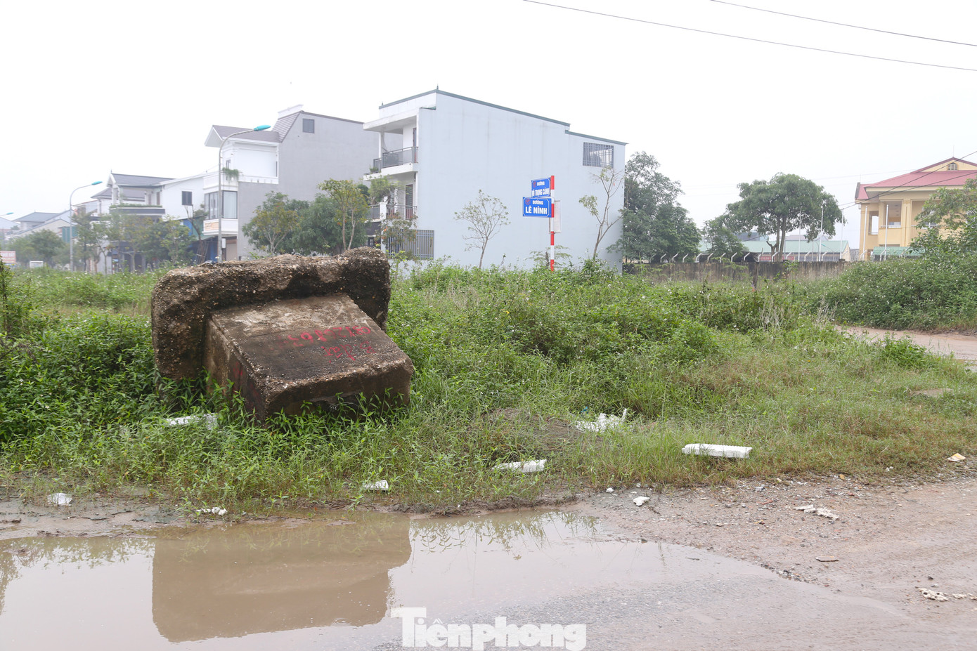 Dọc chiều dài tuyến đường, cây cối, cỏ dại mọc um tùm.
