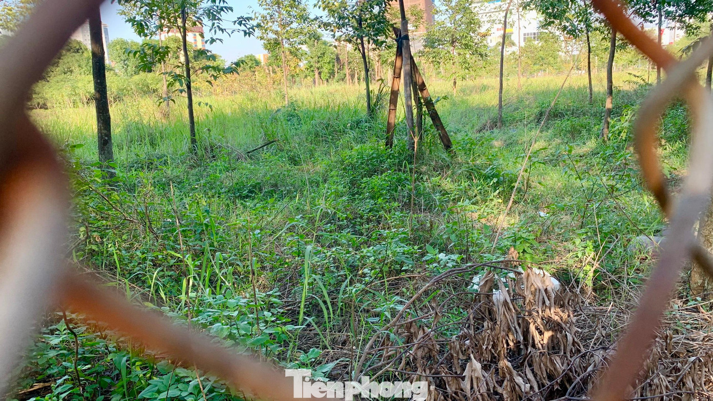 Khu đất "vàng" bị bỏ hoang 16 năm qua. Một phần đất được Công ty CP Công viên cây xanh mượn để ươm cây cảnh và những loại cây giống khác. Phần còn lại hoang hóa, cỏ dại mọc um tùm. Khu đất "vàng" bị bỏ hoang 16 năm qua. Một phần đất được Công ty CP Công viên cây xanh mượn để ươm cây cảnh và những loại cây giống khác. Phần còn lại hoang hóa, cỏ dại mọc um tùm.