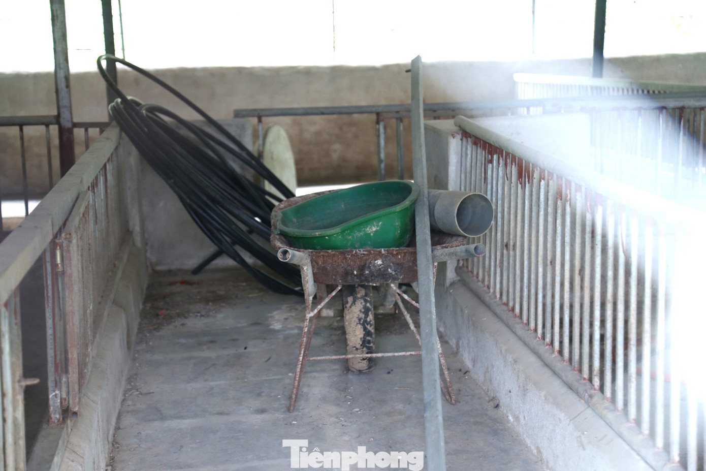 Nhiều tháng nay, gia đình anh Đường quyết định 'treo chuồng' để cắt lỗ