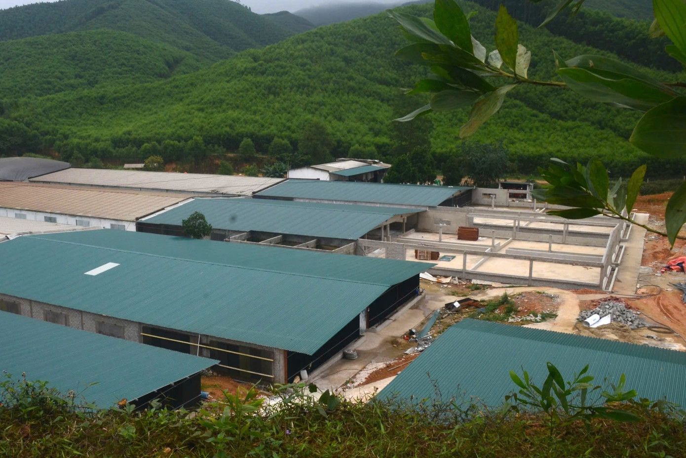 Trang trại lợn đang cơi nới, xây thêm chuồng trại