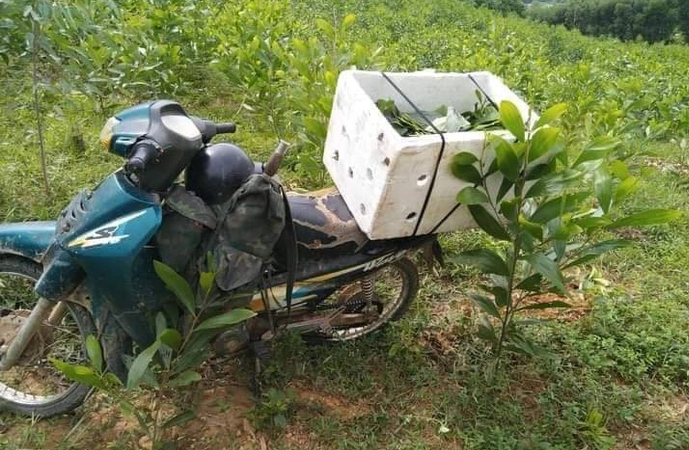 Chiếc xe máy Nghĩa dùng để đi bắt tổ ong. Chiếc xe máy Nghĩa dùng để đi bắt tổ ong.