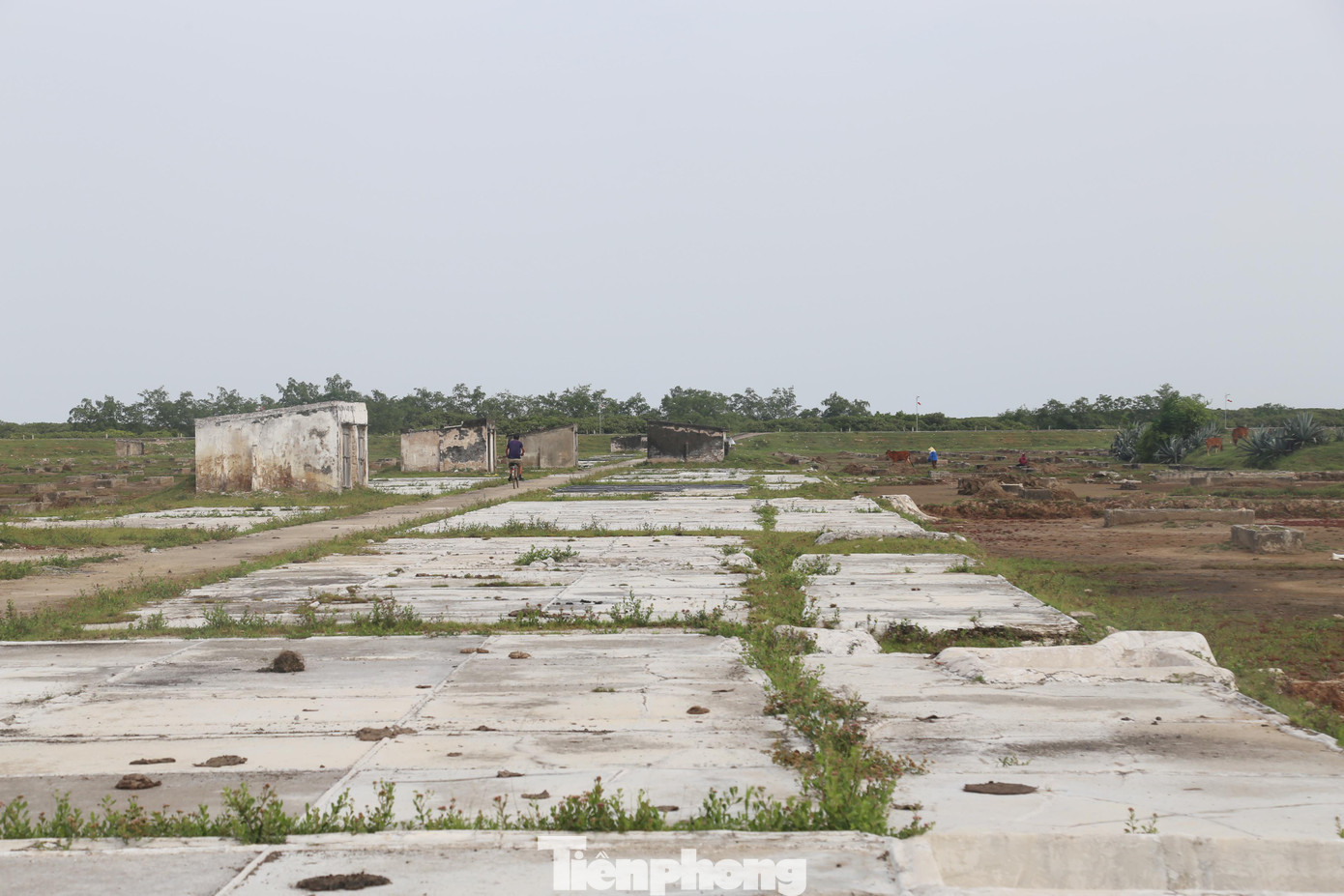 Do thu nhập thấp, nhiều hộ dân đã bỏ nghề muối và chuyển sang nghề khác để mưu sinh.