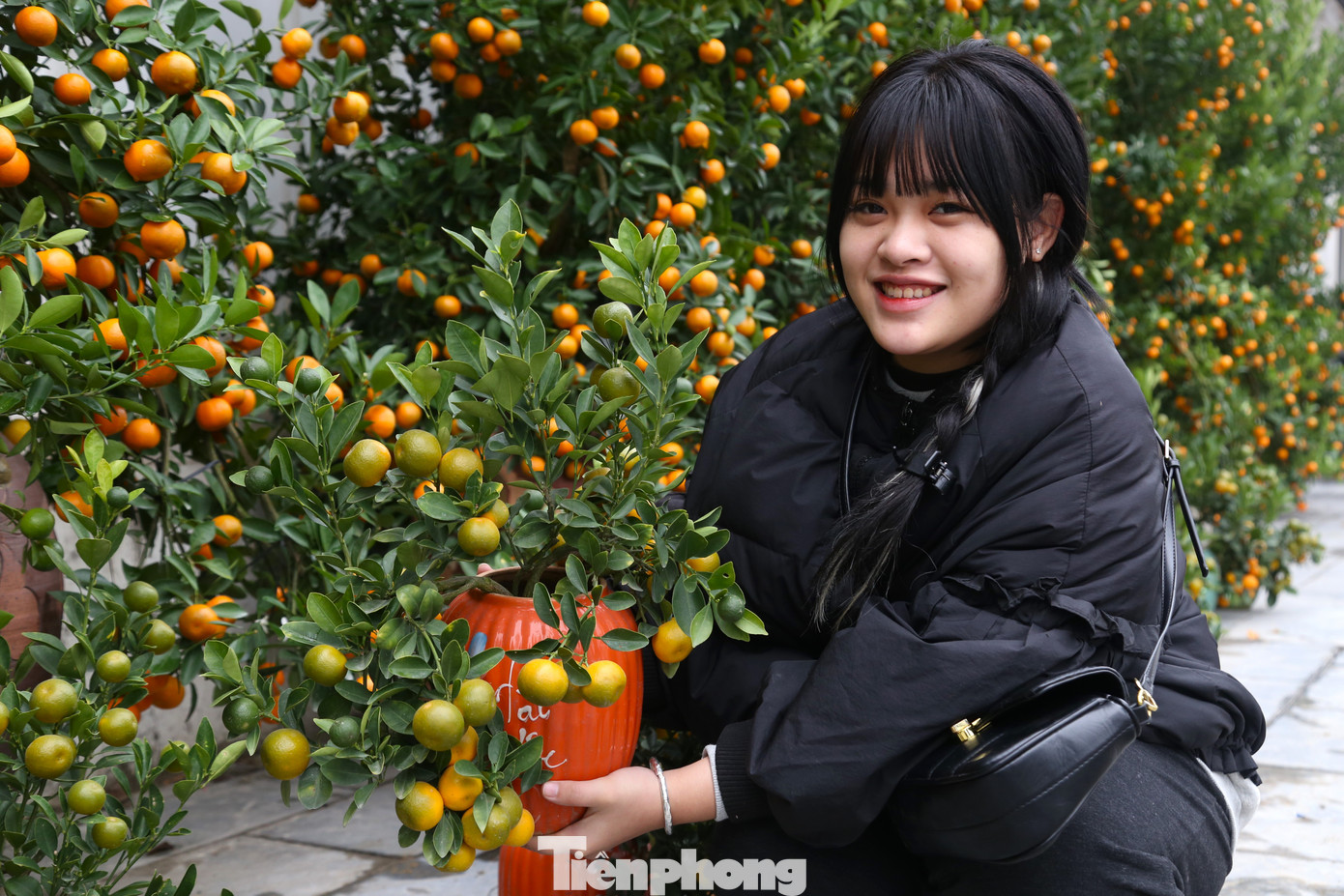 “Nhiều gia đình chuộng quất mini vì có thể đặt ở bàn trà hoặc các vị trí trong căn hộ có diện tích nhỏ. Hiện, tôi đã bán được khoảng 70 chậu quất mini, giá bán 250.000 đồng/chậu”, chị Linh chia sẻ.