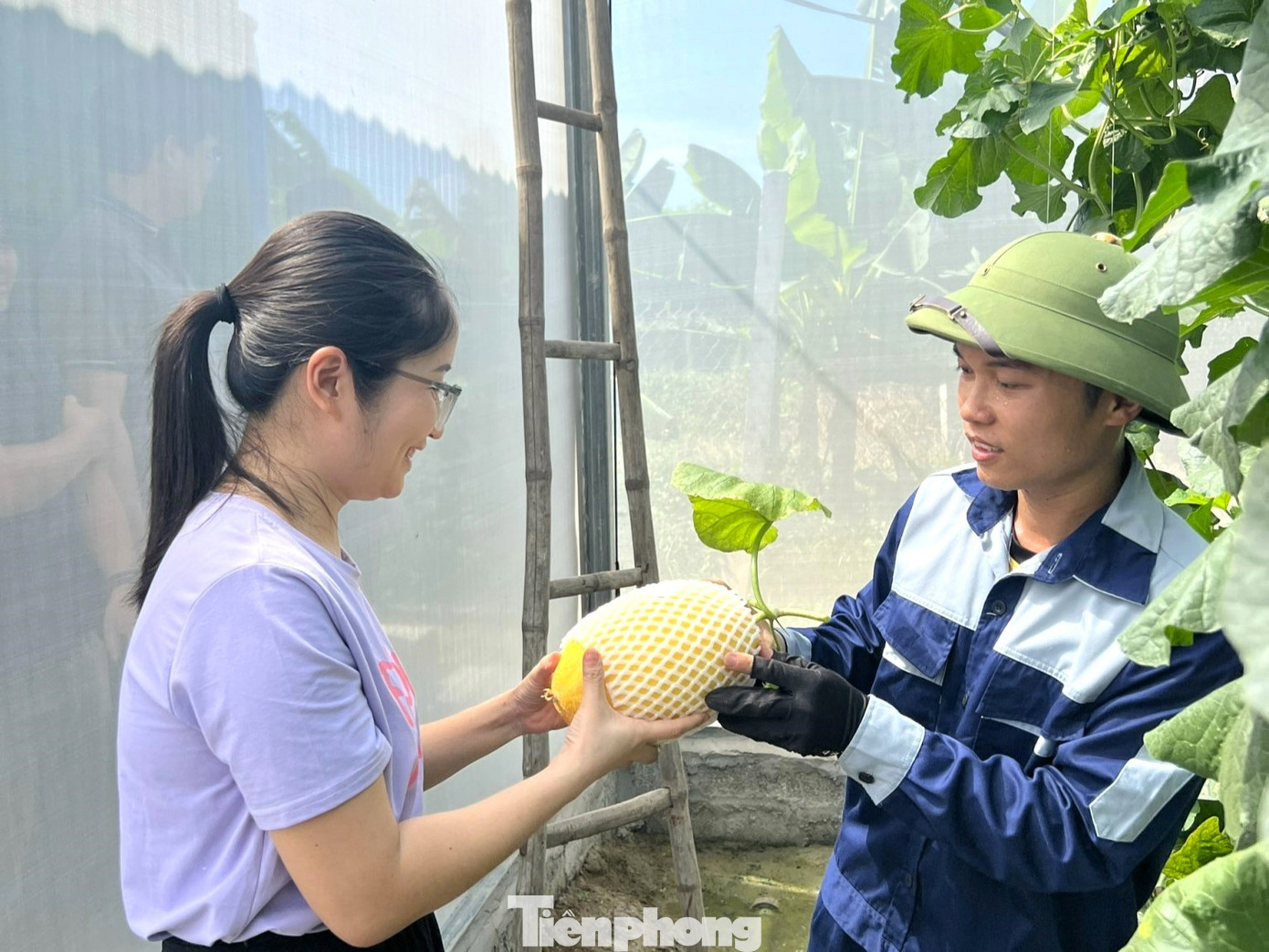 Nhiều năm bôn ba xứ người, anh Du quyết định về quê trồng dưa lưới vàng, thành công ngay từ lần đầu khởi nghiệp. Nhiều năm bôn ba xứ người, anh Du quyết định về quê trồng dưa lưới vàng, thành công ngay từ lần đầu khởi nghiệp.