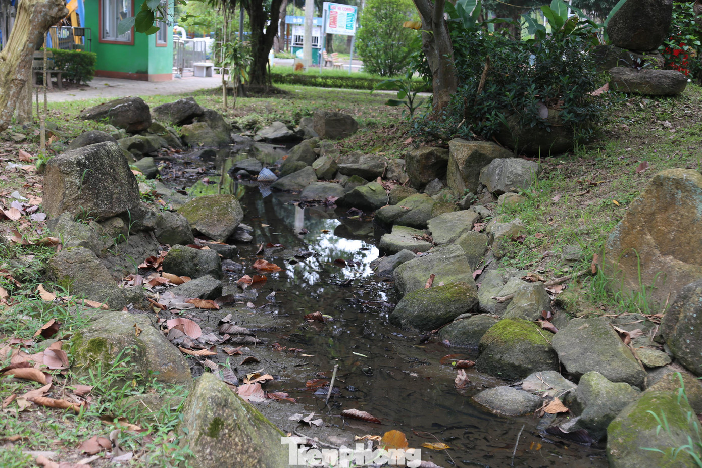 Dòng nước đen ngòm, bốc mùi hôi thối.