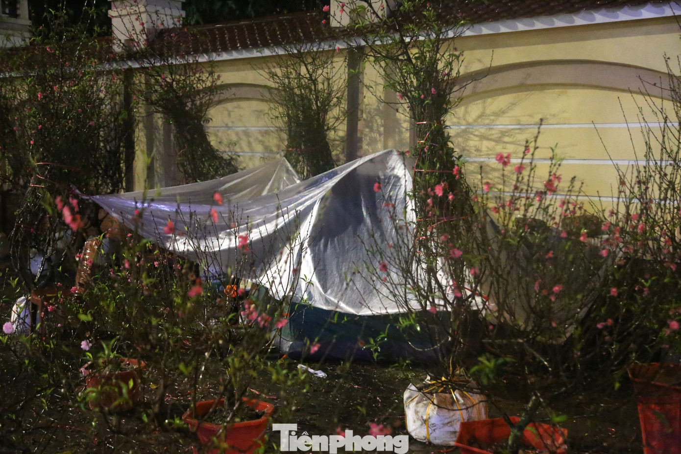 Những chiếc lều tạm bợ che mưa, chắn gió...