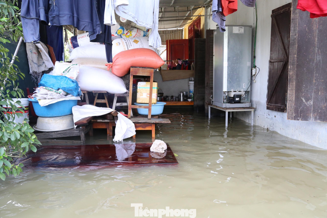 Nước ngập sâu trong nhà, nhiều vật nuôi phải kê lên cao.