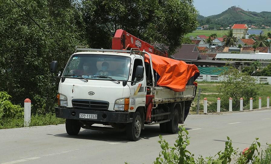 Những con hổ được gây mê, nhốt trong lồng sắt và đưa đến khu sinh thái Mường Thanh Diễn Lâm
