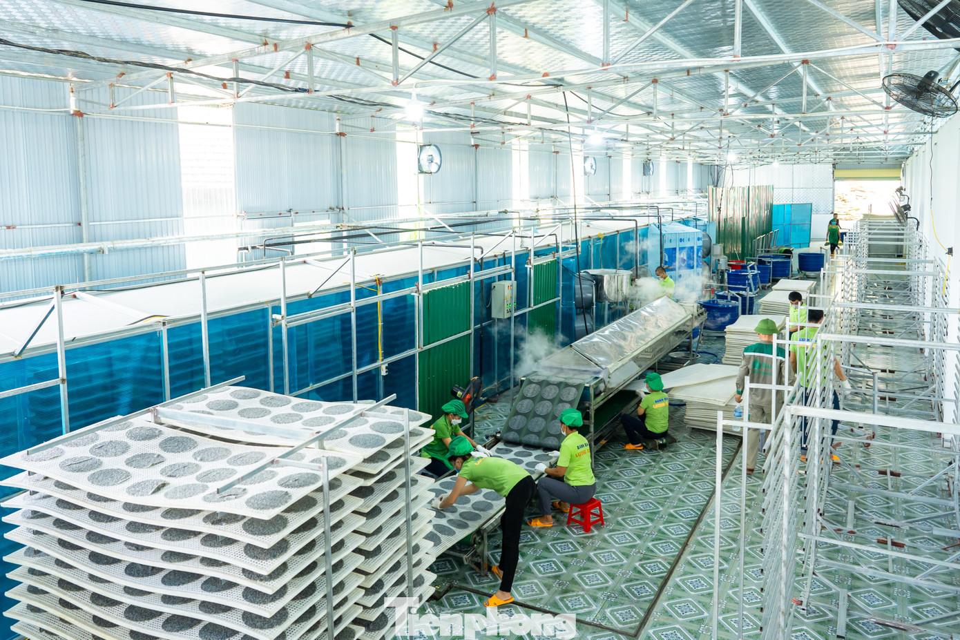 Tốt nghiệp đại học chuyên ngành xây dựng, anh Nguyễn Bá Thắng (SN 1990, trú xã Nhân Sơn, huyện Đô Lương, Nghệ An) đều có công việc ổn định. Tình cờ, anh Thắng gặp anh Nguyễn Ngọc Phương (SN 1989), người đồng hương và cũng là đồng môn tâm sự muốn được về quê sinh sống với gia đình. Bàn bạc tới lui khá nhiều, cả hai quyết định sẽ cùng trở lại quê nhà, khởi nghiệp từ nghề làm bánh đa truyền thống.