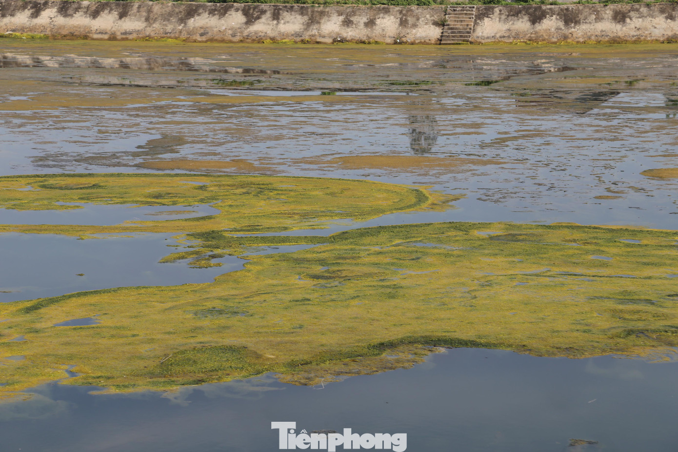 Nước trong hồ chứa bị ô nhiễm.