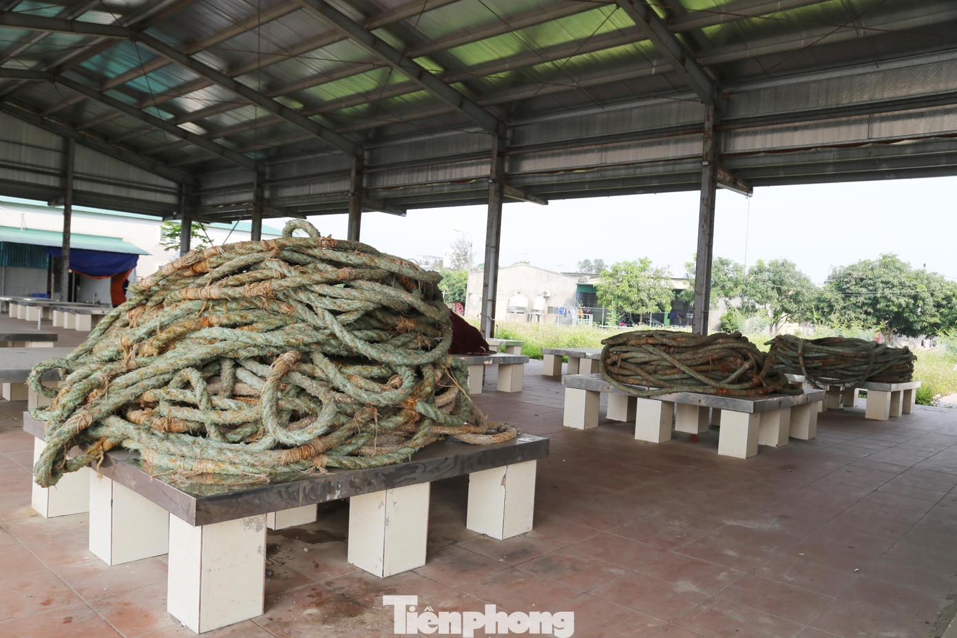 ...tập kết ngư cụ.