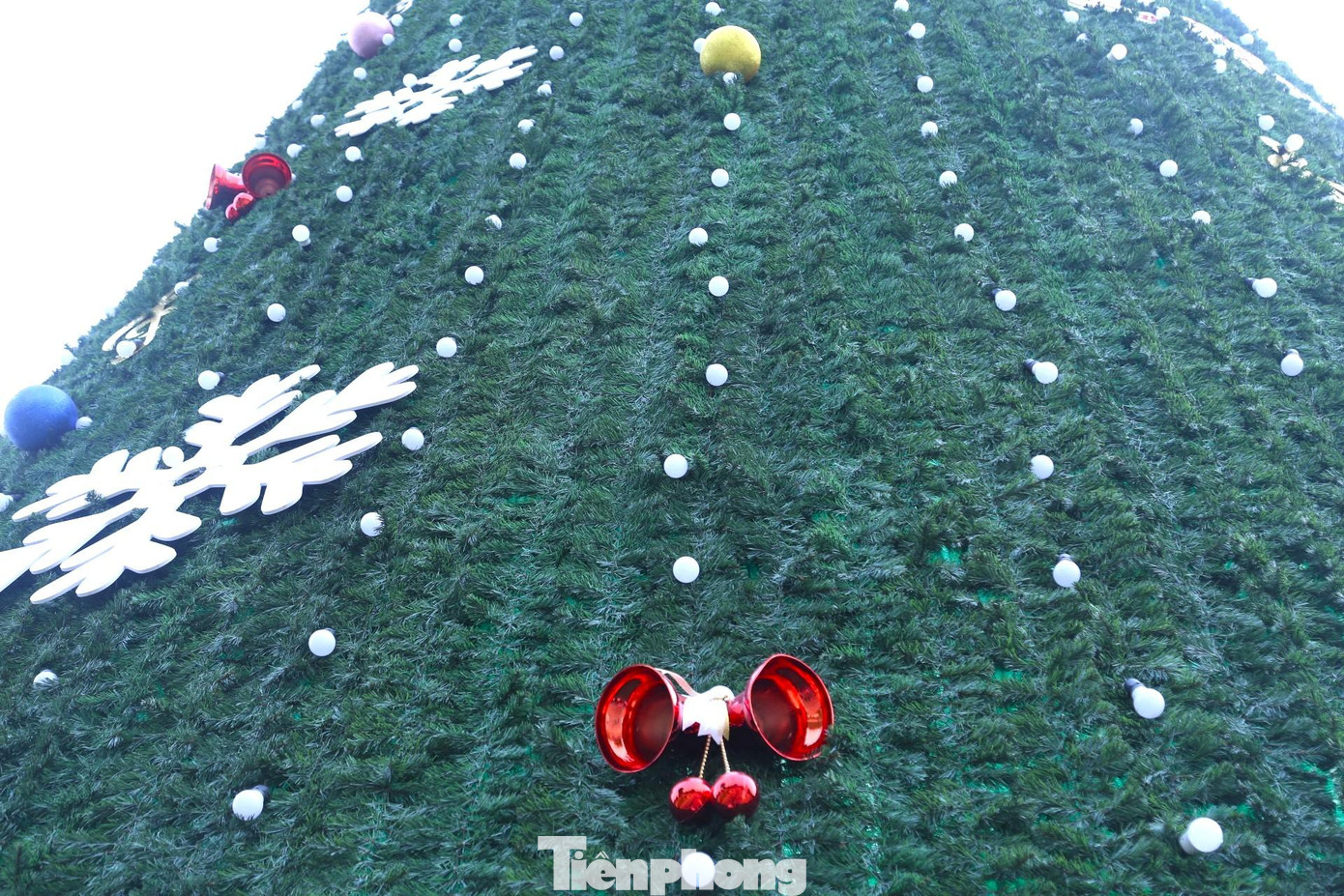 Cây thông được trang trí với gần 2.000 bóng đèn các loại, hàng nghìn quả bóng cùng chuông trông rất hấp dẫn, lung linh. Cây thông được trang trí với gần 2.000 bóng đèn các loại, hàng nghìn quả bóng cùng chuông trông rất hấp dẫn, lung linh.