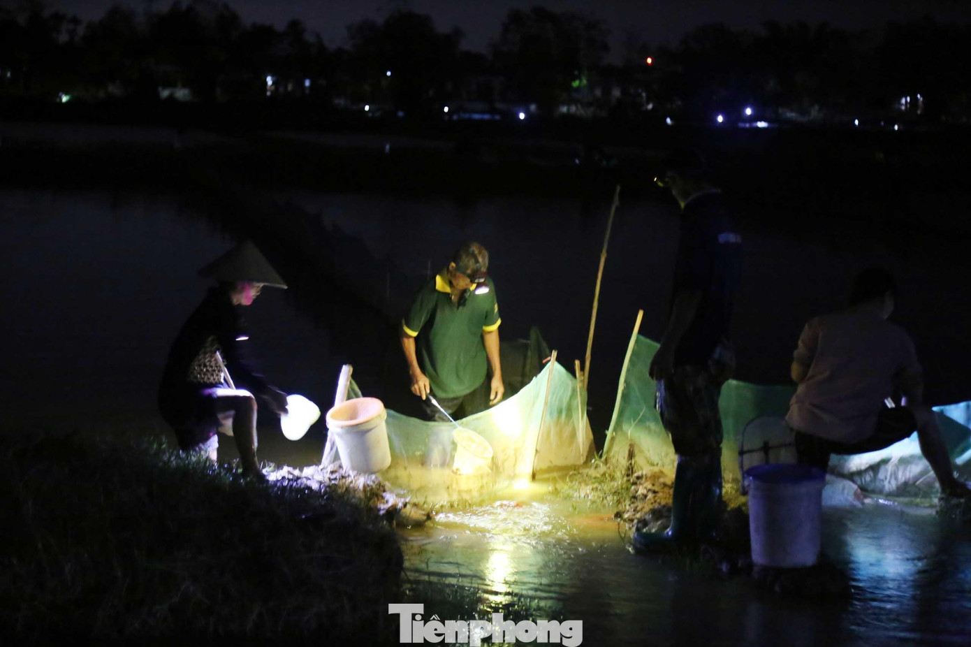 Kế bên ruộng bà Trâm, ông Phạm Văn Lợi cũng đang hì hục vớt rươi. Ông cho biết, tối nay rươi về nhiều hơn tối qua nhưng con nhỏ hơn. Trong một buổi tối, ông vớt được gần 1 yến rươi, bán ngay tại ruộng được gần 4 triệu đồng.