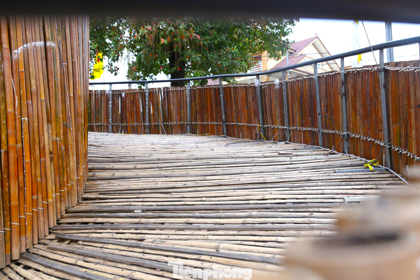 Đường lên xuống cây thông rộng 2m, được lát bằng những tấm tre rất chắc chắn.