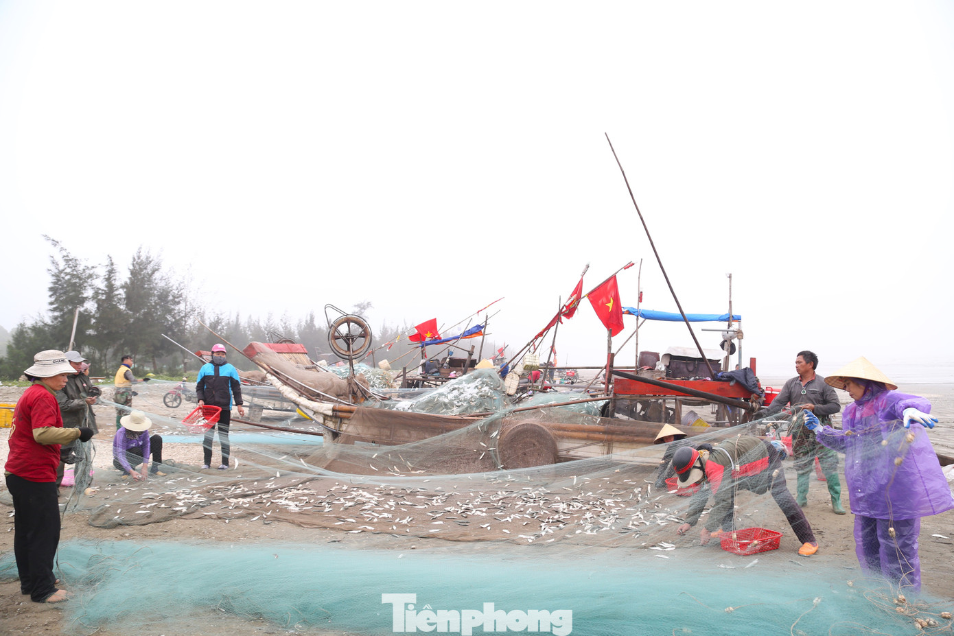 Mùa cá trích bắt đầu từ khoảng tháng 1 đến tháng 5 hằng năm. Cá trích thường xuất hiện ở vùng biển gần bờ, vì thế đây là nguồn tăng thu nhập cho ngư dân hoạt động bè mảng gần bờ thuộc các xã vùng bãi ngang huyện Diễn Châu (tỉnh Nghệ An). Toàn huyện hiện có khoảng 400 bè mảng chuyên đánh bắt gần bờ, tập trung nhiều nhất ở các xã Diễn Kim, Hùng Hải...