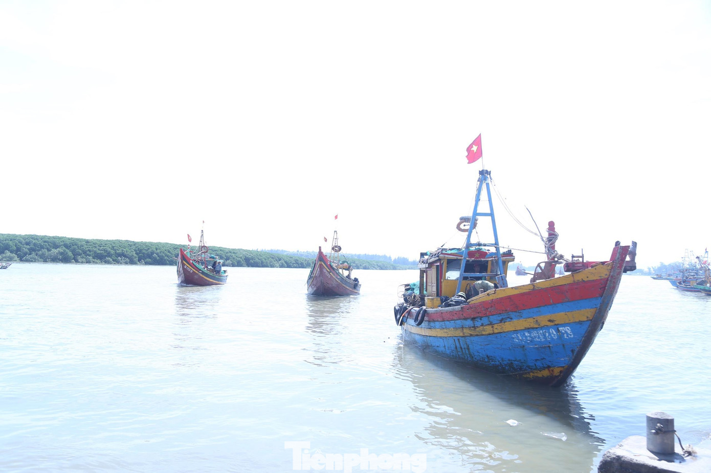 Gần 11h trưa, tại cảng cá Lạch Vạn, xã Diễn Ngọc, huyện Diễn Châu, Nghệ An không khí tấp nập, nhộn nhịp. Từ xa, hàng trăm chiếc thuyền đang dần cập cảng. Trên bờ, các thương lái đã chen chúc chờ thu mua hải sản. Hàng tấn hải sản được ngư dân chuyển lên bờ để vận chuyển đi các nơi tiêu thụ.