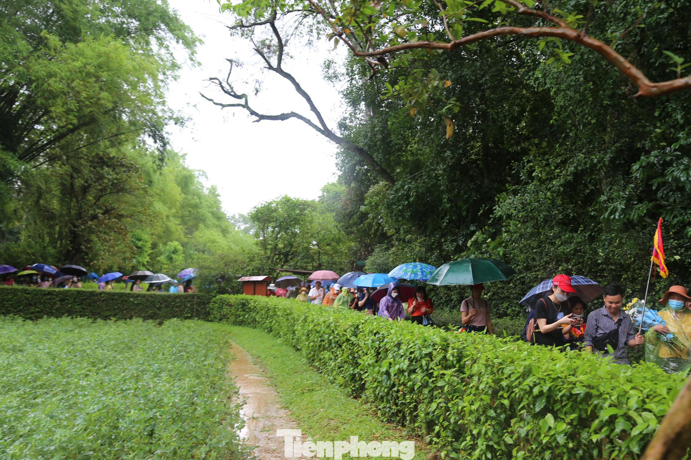 Dòng người xếp hàng vào thăm ngôi nhà tranh của thân mẫu Bác Hồ