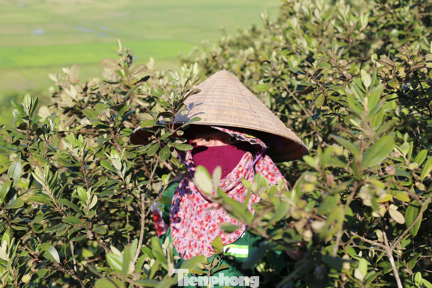 Trời nắng gắt, người dân phải bịt kín mặt bằng nhiều lớp khẩu trang.