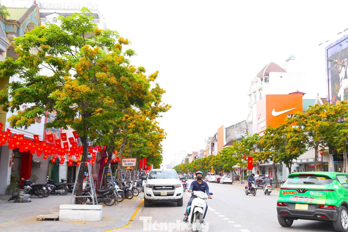 Trên nhiều con phố ở thành Vinh như Đại lộ Lê Nin, Nguyễn Phong Sắc,… hoa giáng hương đang vào trà nở rộ.