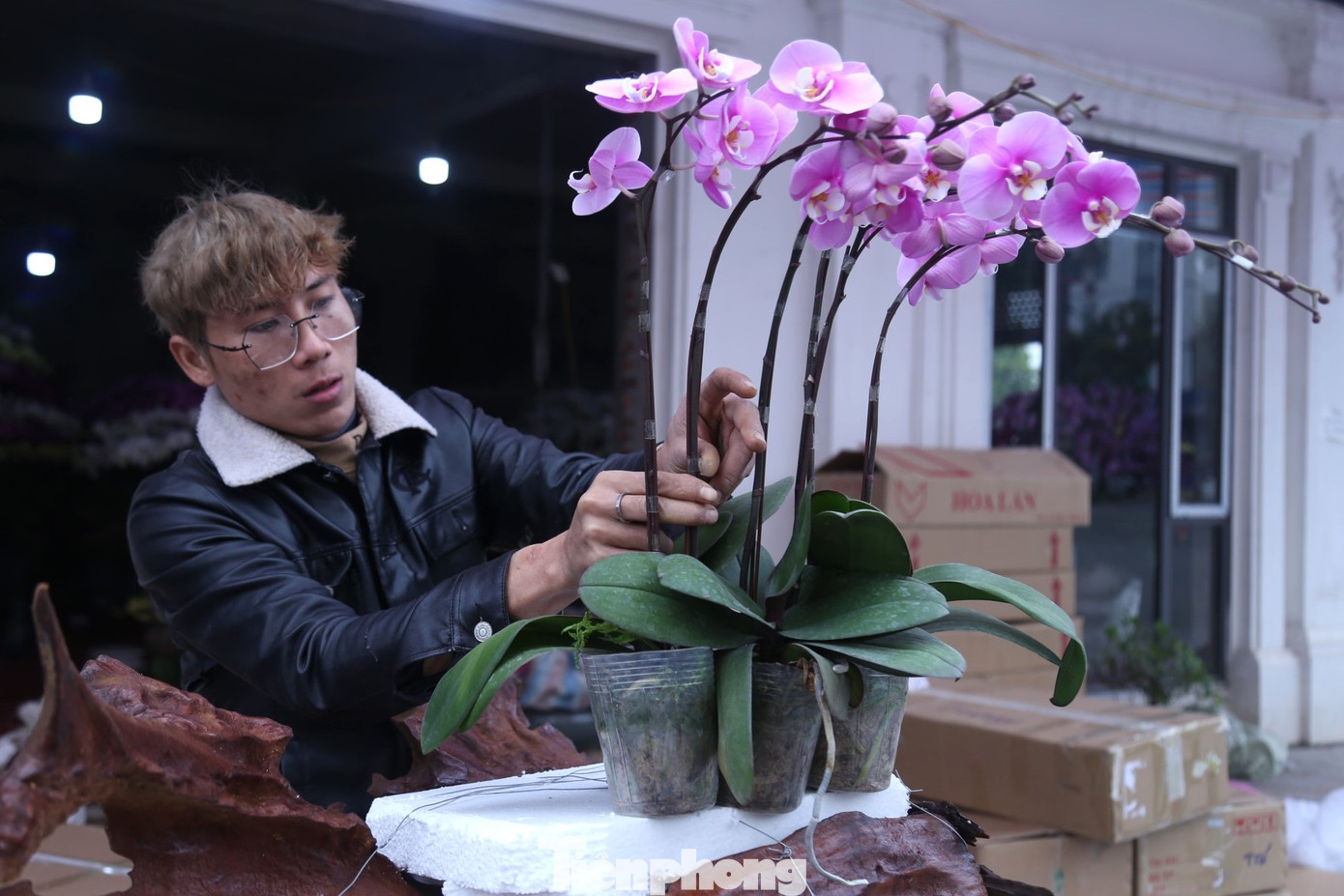 Anh Lê Bảo Khánh, thợ kết lan đến từ Sài Gòn cho biết: “Nhóm của tôi vào kết lan 8 người, hầu hết có tuổi nghề trên 5 năm, tay nghề cao. Đa phần, các thợ kết lan được tính công theo sản phẩm, mỗi bầu lan ghép vào chậu được trả công 20.000 đồng. Ngày cao điểm, thợ lành nghề như tôi có thể kiếm được trên 10 triệu đồng. Càng cận Tết, nhu cầu mua lan của khách càng cao, hàng về càng nhiều thì công việc càng bận rộn”. Anh Lê Bảo Khánh, thợ kết lan đến từ Sài Gòn cho biết: “Nhóm của tôi vào kết lan 8 người, hầu hết có tuổi nghề trên 5 năm, tay nghề cao. Đa phần, các thợ kết lan được tính công theo sản phẩm, mỗi bầu lan ghép vào chậu được trả công 20.000 đồng. Ngày cao điểm, thợ lành nghề như tôi có thể kiếm được trên 10 triệu đồng. Càng cận Tết, nhu cầu mua lan của khách càng cao, hàng về càng nhiều thì công việc càng bận rộn”.