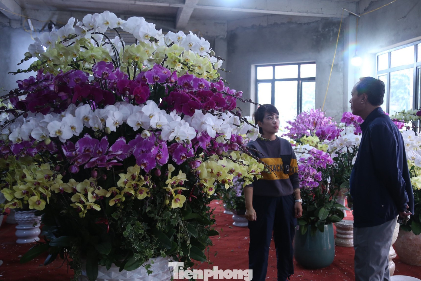 Nhiều người đến xem chọn hoa trưng Tết sớm Nhiều người đến xem chọn hoa trưng Tết sớm