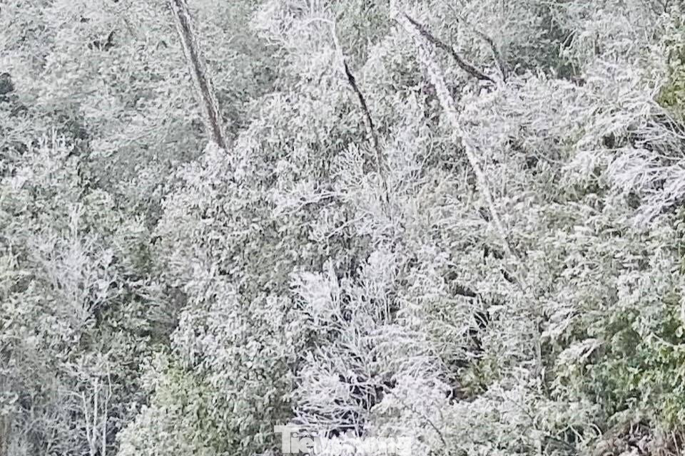 Khu vực đường tuần tra, cây cối phủ đầy tuyết Khu vực đường tuần tra, cây cối phủ đầy tuyết