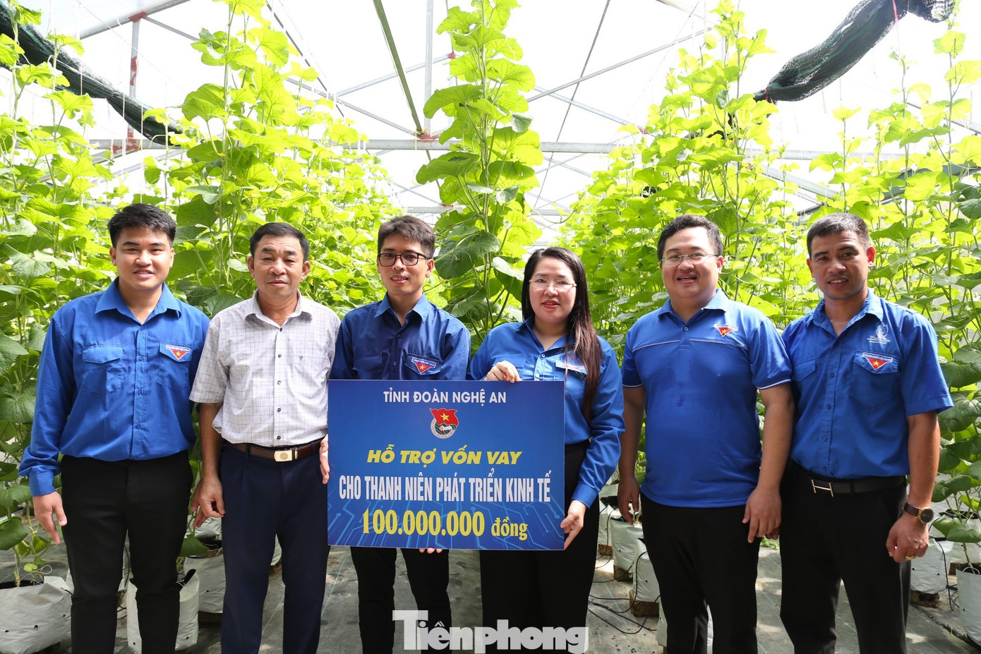 Tỉnh Đoàn Nghệ An hỗ trợ vốn vay Hợp tác xã dịch vụ nông sản hữu cơ công nghệ cao Vfresh Garden cho thanh niên Nguyễn Văn Đạt (trú xã Hưng Lĩnh, huyện Hưng Nguyên) với số tiền 100 triệu đồng.