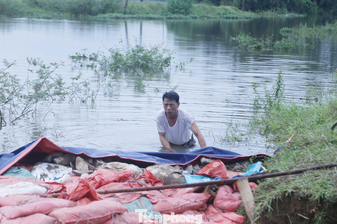 Ngâm mình dưới dòng nước để khắc phục sự cố vỡ đê