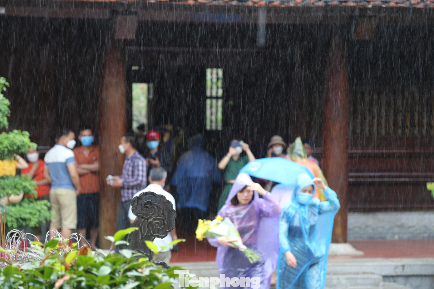 Dù trời đổ mưa, nhưng du khách về thăm quê Bác mỗi lúc một đông