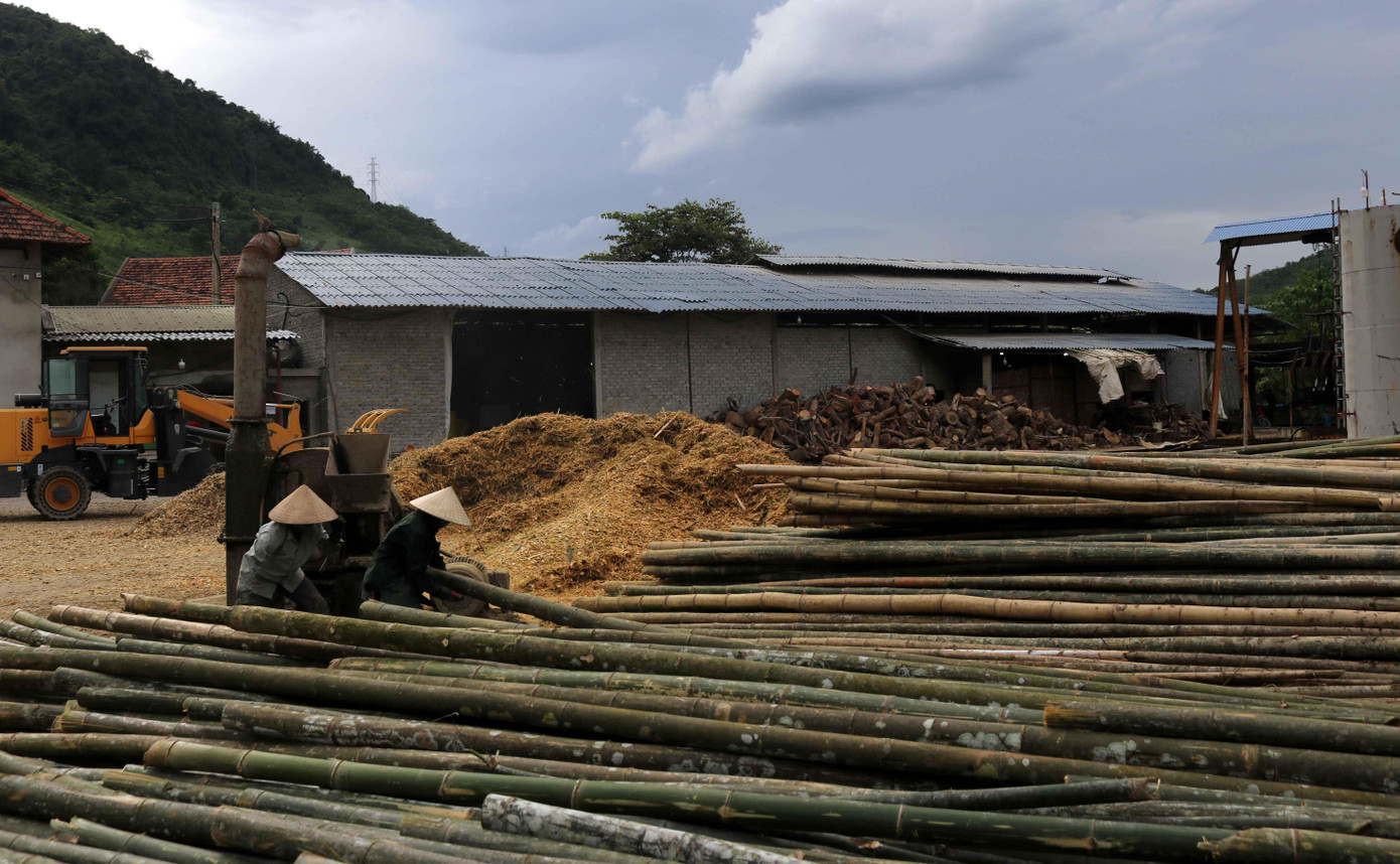 Tre mét được thương lái thu mua làm nguyên liệu cho ngành sản xuất giấy. Tre mét được thương lái thu mua làm nguyên liệu cho ngành sản xuất giấy.