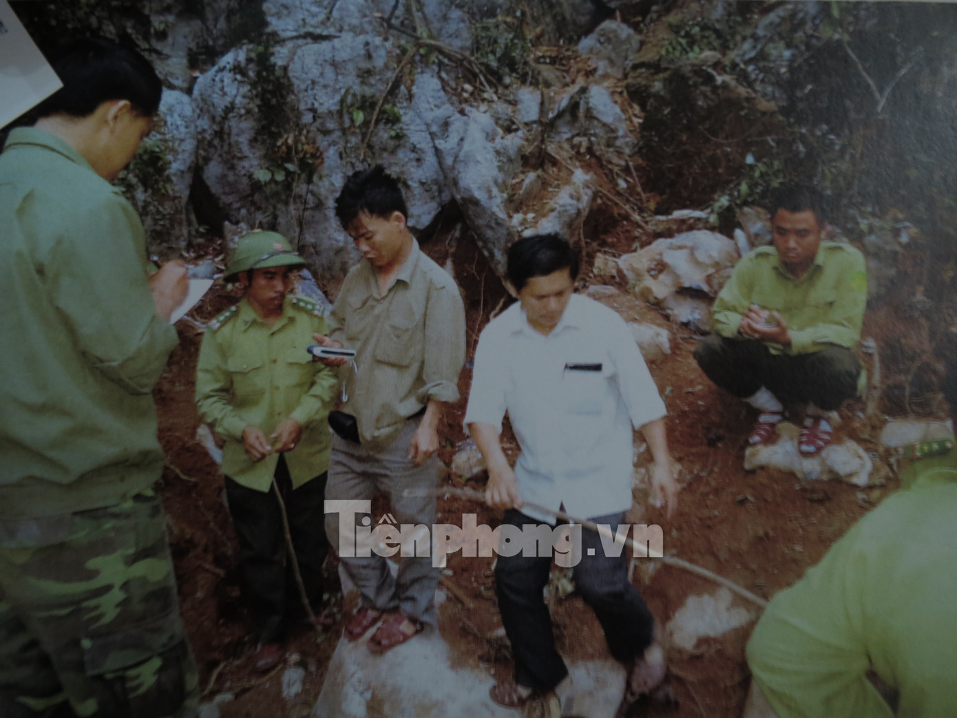 Đoàn công tác đang đo đếm tại hiện trường của ba cây huê bị đốn hạ nfvn