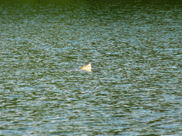 ... vòng về phía Hàng Khay...