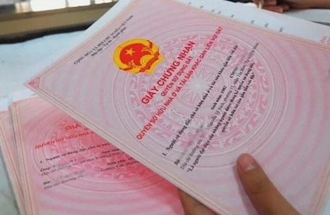 Ảnh minh họa. Ảnh minh họa.