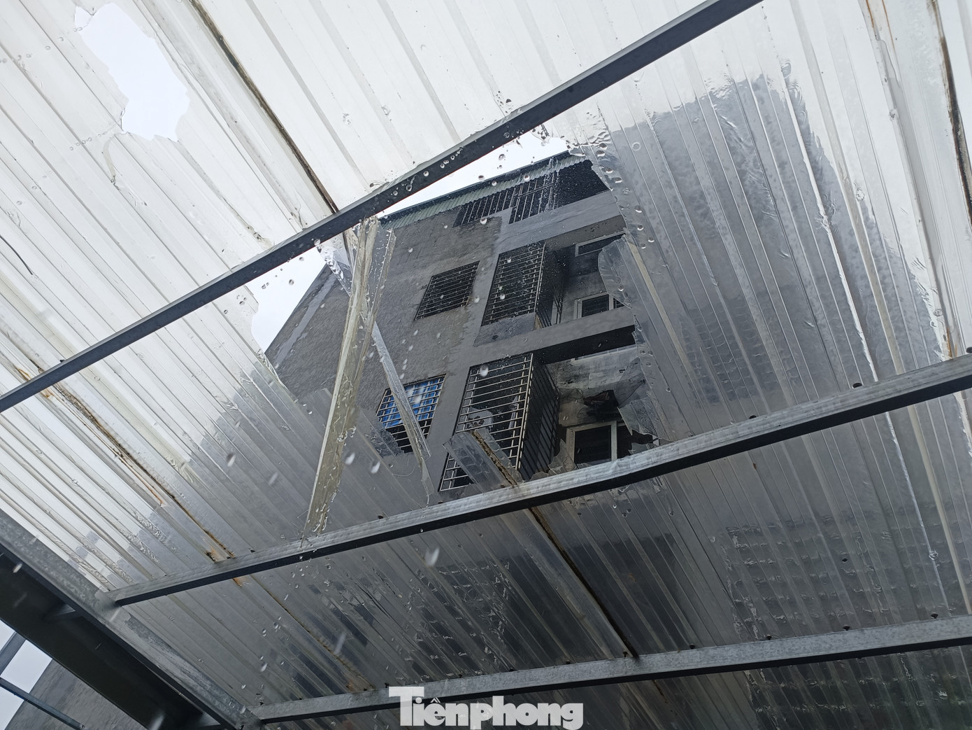 Người đàn ông nhảy từ chung cư xuống mái nhựa tầng 5 của gia đình chị Phượng. Người đàn ông nhảy từ chung cư xuống mái nhựa tầng 5 của gia đình chị Phượng.