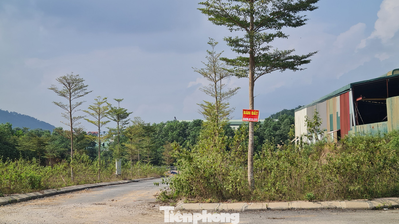 Tình trạng bán &quot;cắt lỗ&quot; đất nền vùng ven Hà Nội lan rộng thời gian qua. Ảnh: Ninh Phan.