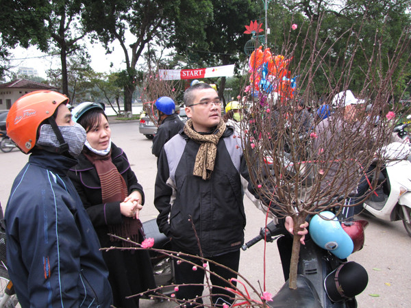 Một cặp vợ chồng đang xem cành đào được ra giá 250 nghìn đồng.