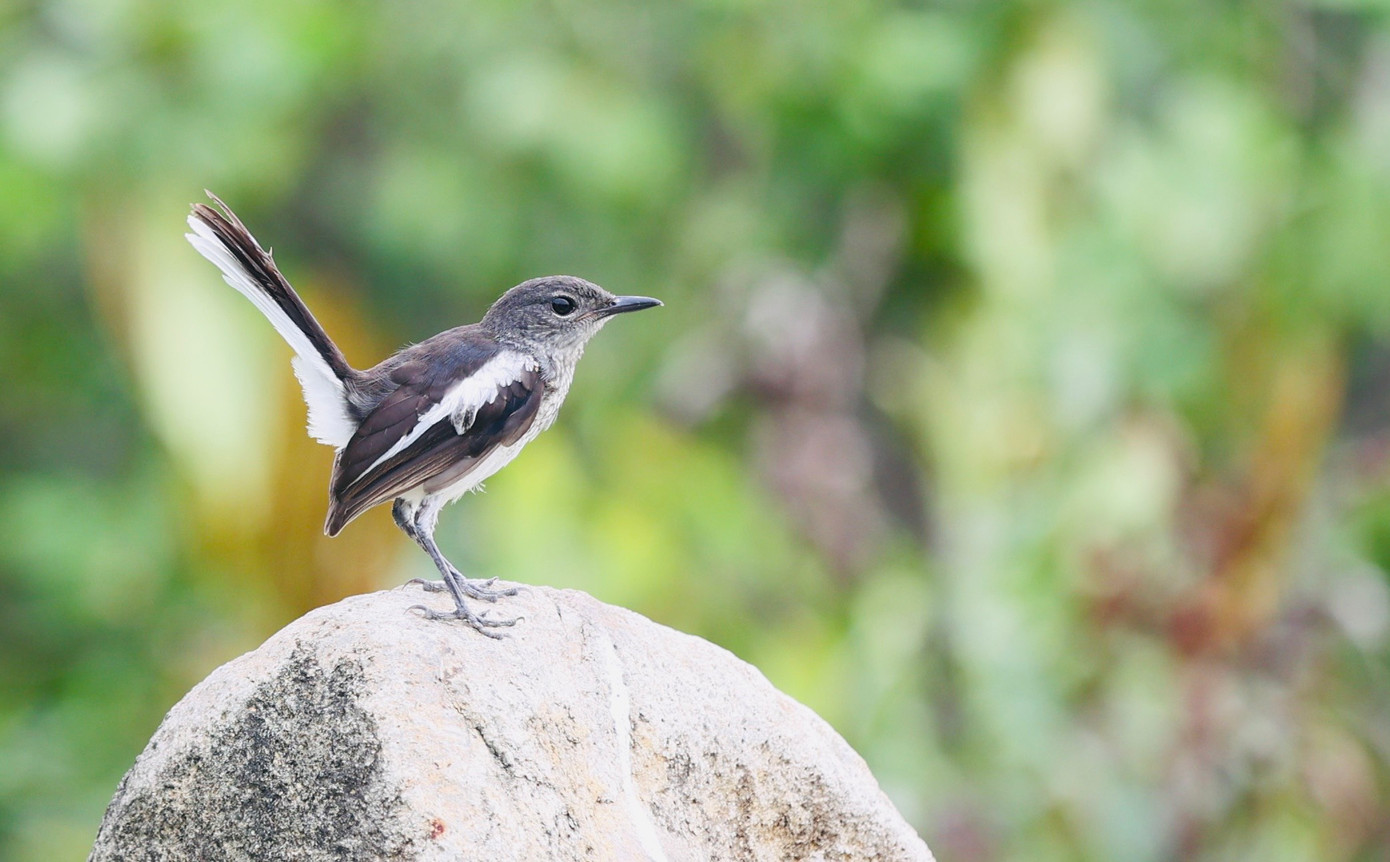 Đánh 66 gậy trong ngày đầu tiên, Nguyễn Đặng Minh lập kỷ lục tại Giải Vô địch Golf Quốc gia ảnh 45