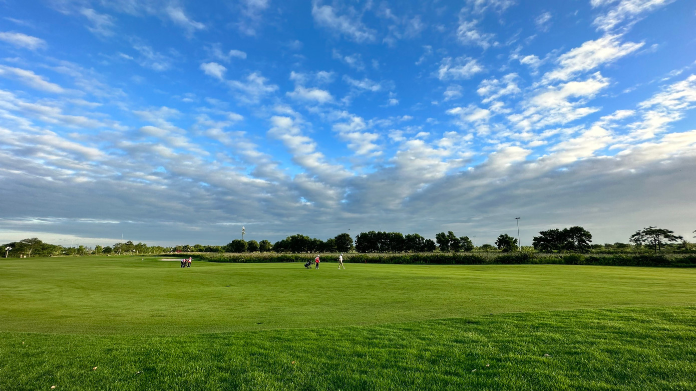 Các khu vực tee box, fairway của sân golf được phủ xanh bởi nền cỏ Platinum Paspalum. Khu vực green được phủ cỏ Bermuda TifEagle nhằm đảm bảo chất lượng sân golf luôn trong điều kiện lý tưởng quanh năm. Các khu vực tee box, fairway của sân golf được phủ xanh bởi nền cỏ Platinum Paspalum. Khu vực green được phủ cỏ Bermuda TifEagle nhằm đảm bảo chất lượng sân golf luôn trong điều kiện lý tưởng quanh năm.