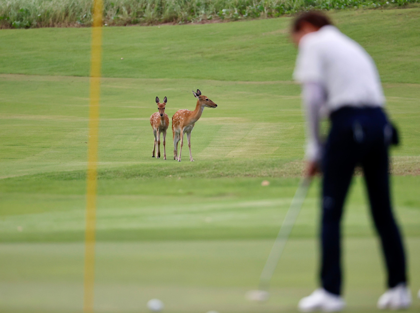 Golfer Nguyễn Nhất Long độc chiếm ngôi đầu sau ngày thi đấu thứ hai ảnh 60 Golfer Nguyễn Nhất Long độc chiếm ngôi đầu sau ngày thi đấu thứ hai ảnh 60