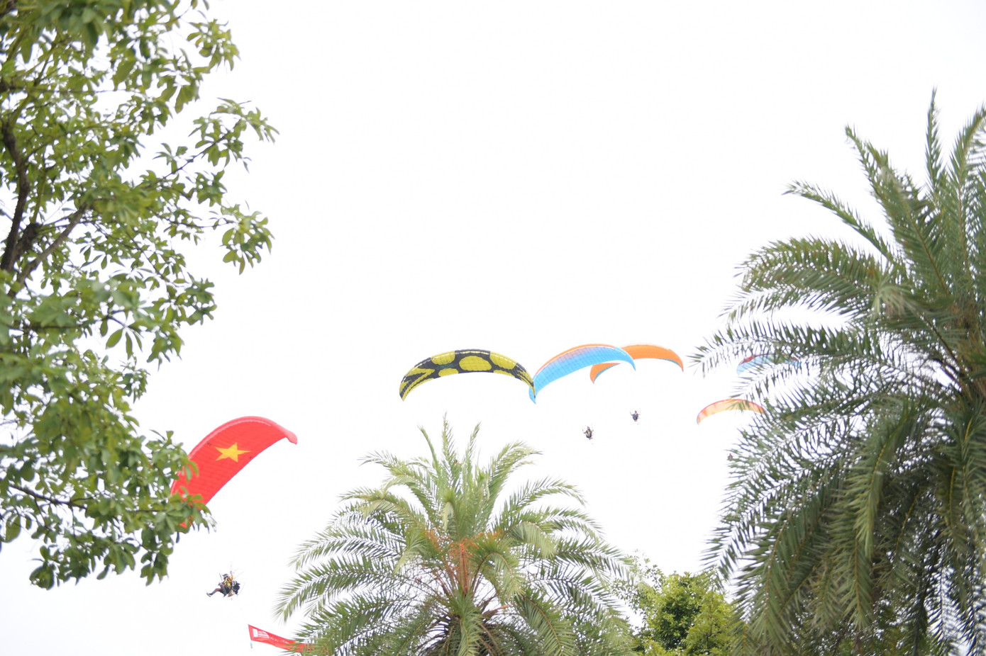 Trao cúp Vô địch Golf Quốc gia năm 2023 - Cúp VinFast ảnh 2 Trao cúp Vô địch Golf Quốc gia năm 2023 - Cúp VinFast ảnh 2