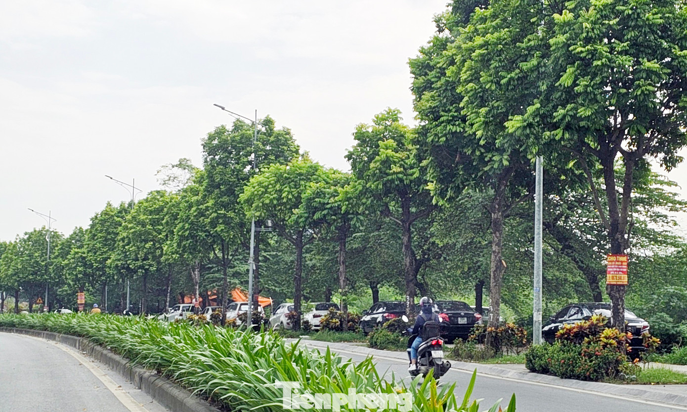 Xe ô tô đậu kín trên vỉa hè đại lộ Chu Văn An. Xe ô tô đậu kín trên vỉa hè đại lộ Chu Văn An.