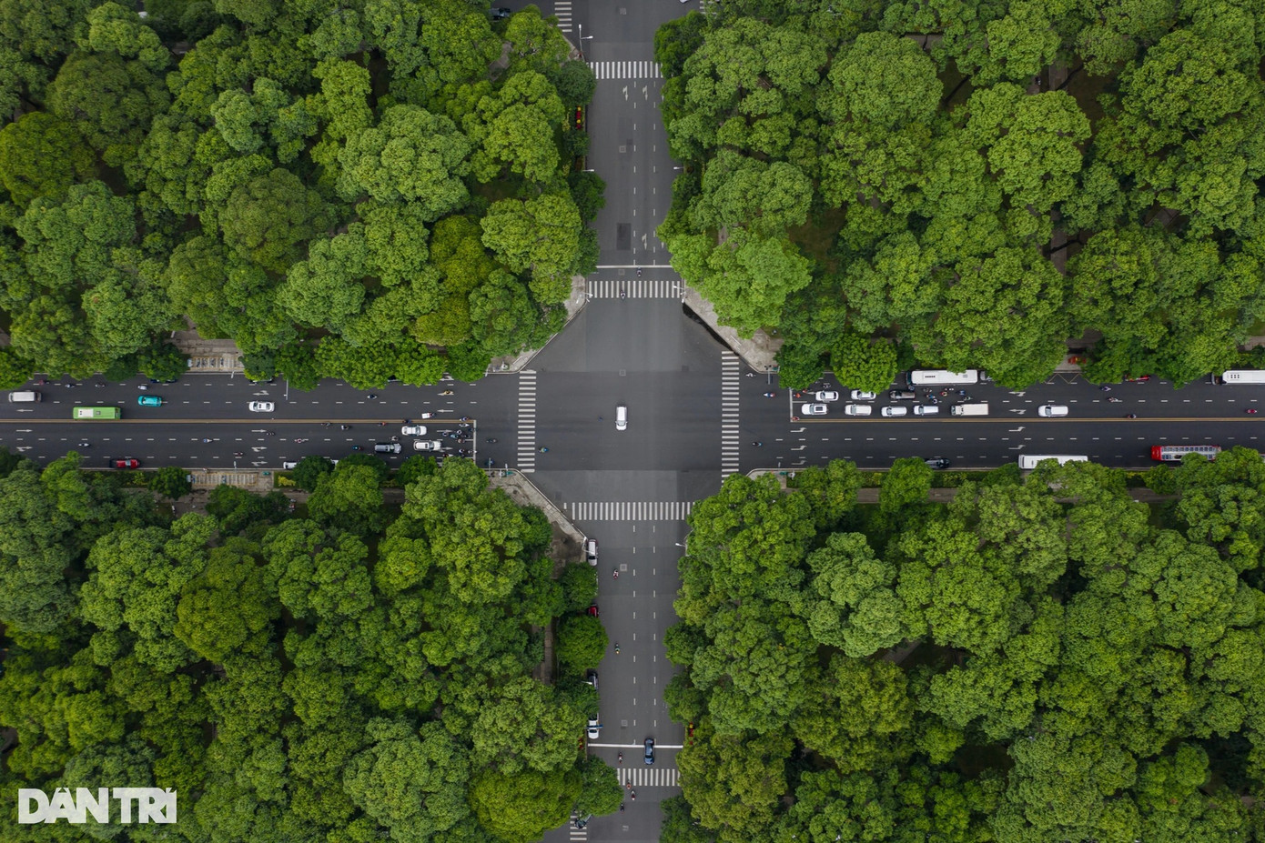 Khu vực giao lộ Lê Duẩn - Pastuer (quận 1) như một rừng cây xanh, mỗi khi lưu thông qua đây người dân cảm nhận được sự trong lành của không khí. Hơn một thế kỷ trôi qua, người dân không còn nhớ rõ về tháng năm ra đời của những hàng cây xanh cổ thụ này, chỉ biết rằng nó đã rất gắn bó với con người nơi đây. Khu vực giao lộ Lê Duẩn - Pastuer (quận 1) như một rừng cây xanh, mỗi khi lưu thông qua đây người dân cảm nhận được sự trong lành của không khí. Hơn một thế kỷ trôi qua, người dân không còn nhớ rõ về tháng năm ra đời của những hàng cây xanh cổ thụ này, chỉ biết rằng nó đã rất gắn bó với con người nơi đây.