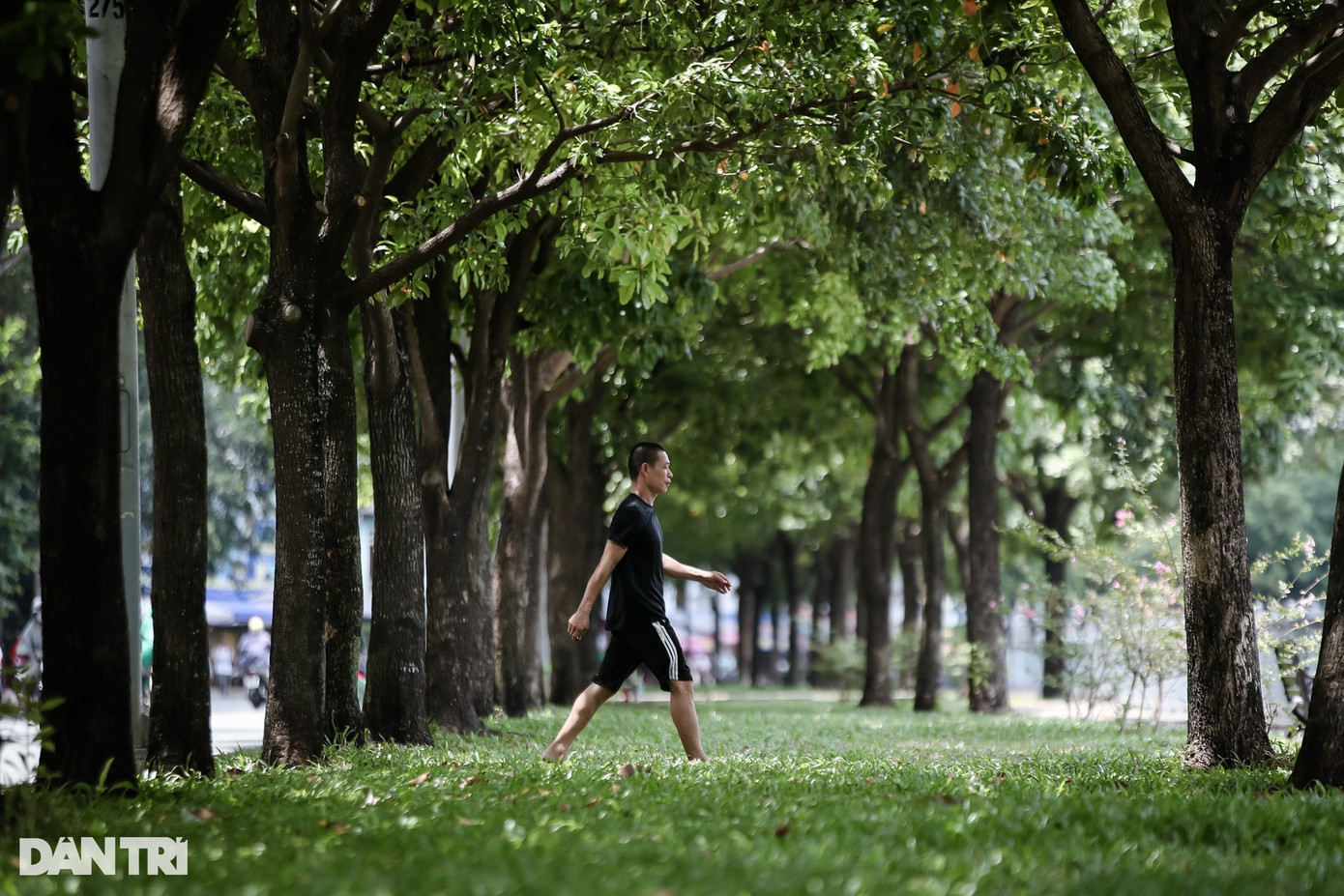 Công viên cây xanh ven bờ kênh Nhiêu Lộc - Thị Nghè vốn là điểm dừng chân, nghỉ mát của người đi đường vào những buổi trưa. Khi TPHCM bước vào cao điểm nắng nóng, khu vực này sôi nổi hơn bao giờ hết, nhiều người mắc võng nằm, tản bộ, thậm chí ngồi ăn trưa dưới bóng cây. Công viên cây xanh ven bờ kênh Nhiêu Lộc - Thị Nghè vốn là điểm dừng chân, nghỉ mát của người đi đường vào những buổi trưa. Khi TPHCM bước vào cao điểm nắng nóng, khu vực này sôi nổi hơn bao giờ hết, nhiều người mắc võng nằm, tản bộ, thậm chí ngồi ăn trưa dưới bóng cây.