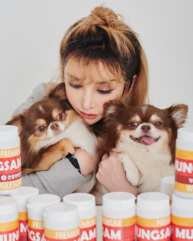 Harisu ít hoạt động giải trí ở thời điểm hiện tại, thay vào đó tập trung điều hành công ty chăm sóc thú cưng.