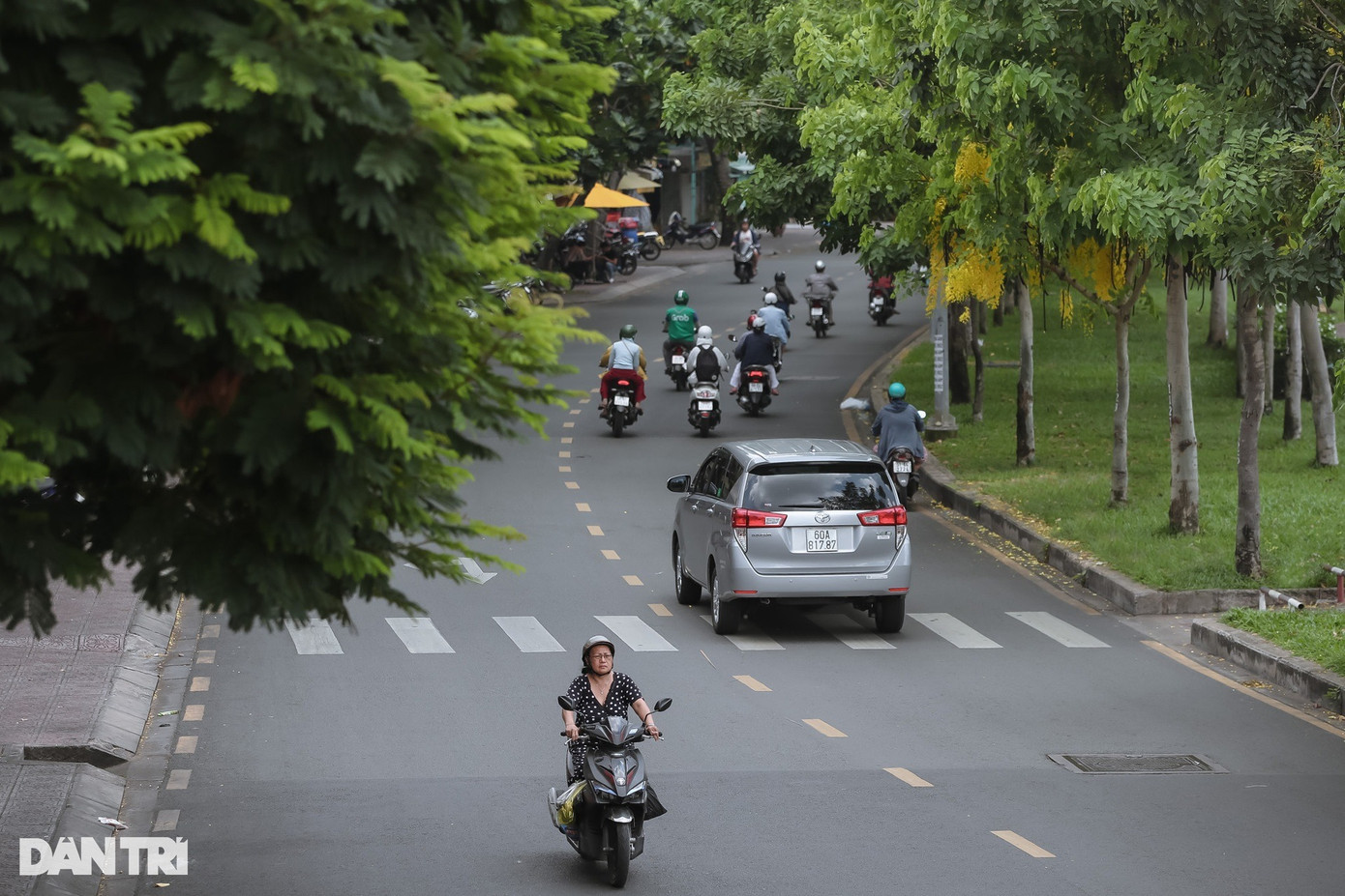 Một góc đường Trường Sa (đoạn qua quận Phú Nhuận, TPHCM) được điểm tô bởi thảm cỏ, cây xanh và những chùm hoa bò cạp vàng rực rỡ. Người đi đường cảm thấy dễ chịu hơn khi đi ngang tuyến đường này bởi bóng cây mát lành. Một góc đường Trường Sa (đoạn qua quận Phú Nhuận, TPHCM) được điểm tô bởi thảm cỏ, cây xanh và những chùm hoa bò cạp vàng rực rỡ. Người đi đường cảm thấy dễ chịu hơn khi đi ngang tuyến đường này bởi bóng cây mát lành.