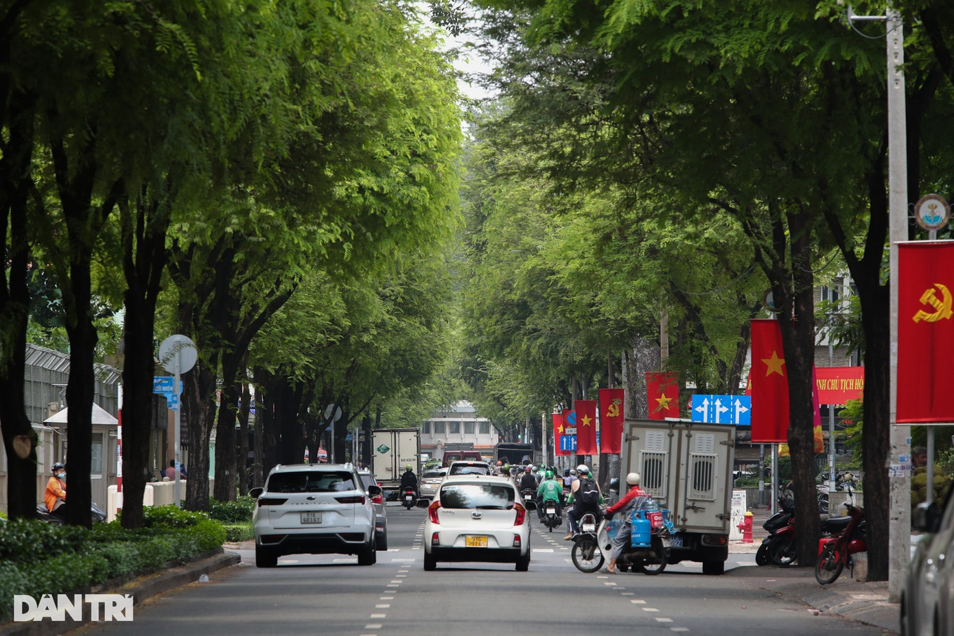 Đường Bà Huyện Thanh Quan (quận 3) rợp bóng hai hàng me cao to. Ở TPHCM, me được trồng nhiều trên những con đường trung tâm như Lê Thánh Tôn, Nguyễn Du, Lý Tự Trọng, Võ Văn Tần… Cây me từ lâu không chỉ tạo nên cảnh quan tươi mát cho thành phố mà còn là kế sinh nhai của không ít người khi me có trái. Đường Bà Huyện Thanh Quan (quận 3) rợp bóng hai hàng me cao to. Ở TPHCM, me được trồng nhiều trên những con đường trung tâm như Lê Thánh Tôn, Nguyễn Du, Lý Tự Trọng, Võ Văn Tần… Cây me từ lâu không chỉ tạo nên cảnh quan tươi mát cho thành phố mà còn là kế sinh nhai của không ít người khi me có trái.
